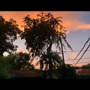 Meet your Posher, Isabella